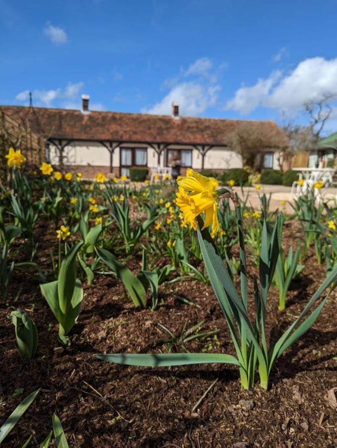 Kingfisher Barn B&B Abingdon-on-Thames Ngoại thất bức ảnh